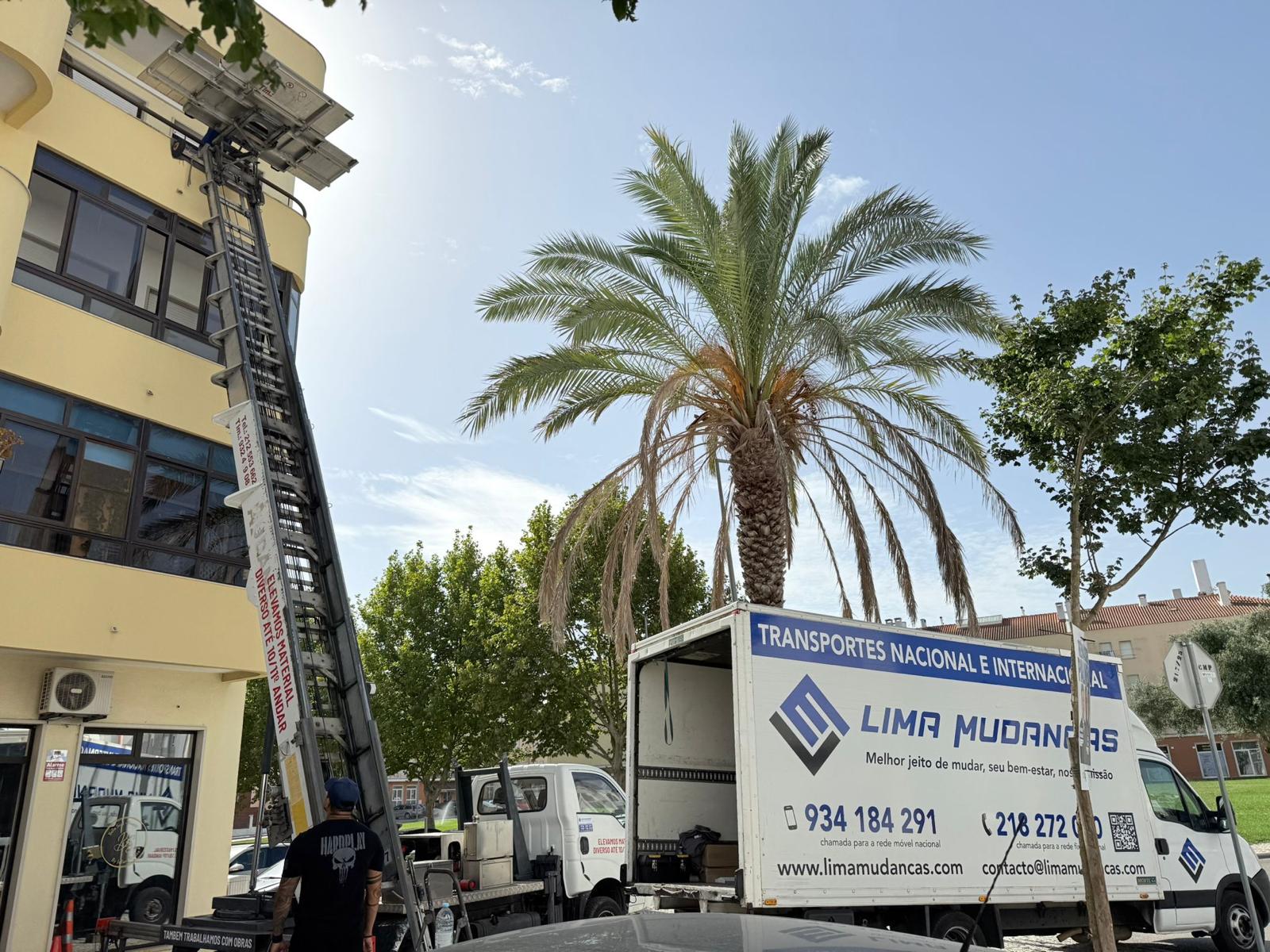 Lima Mudanças — mudança profissional